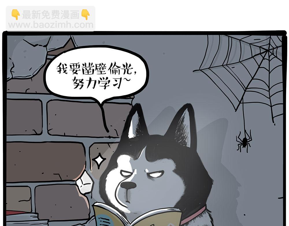 🍘吾皇巴扎黑 第447话 消息盲盒 第11页