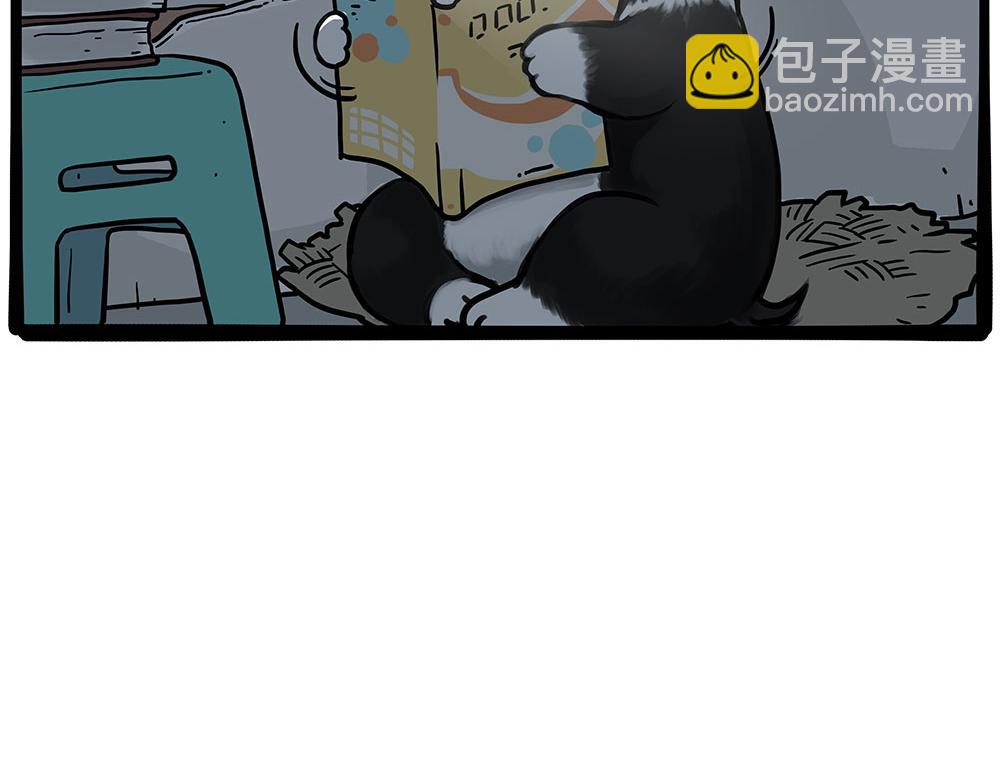 🍘吾皇巴扎黑 第447话 消息盲盒 第12页