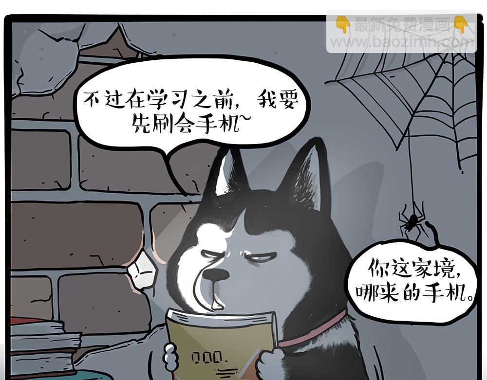 🍘吾皇巴扎黑 第447话 消息盲盒 第13页
