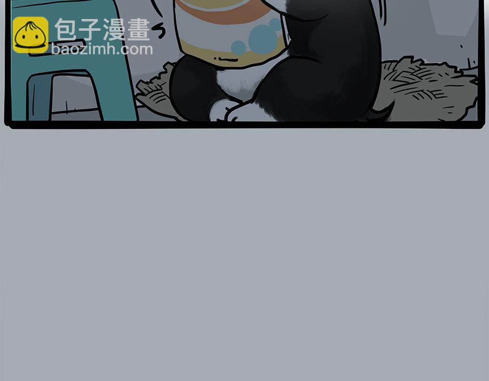 🍘吾皇巴扎黑 第447话 消息盲盒 第14页