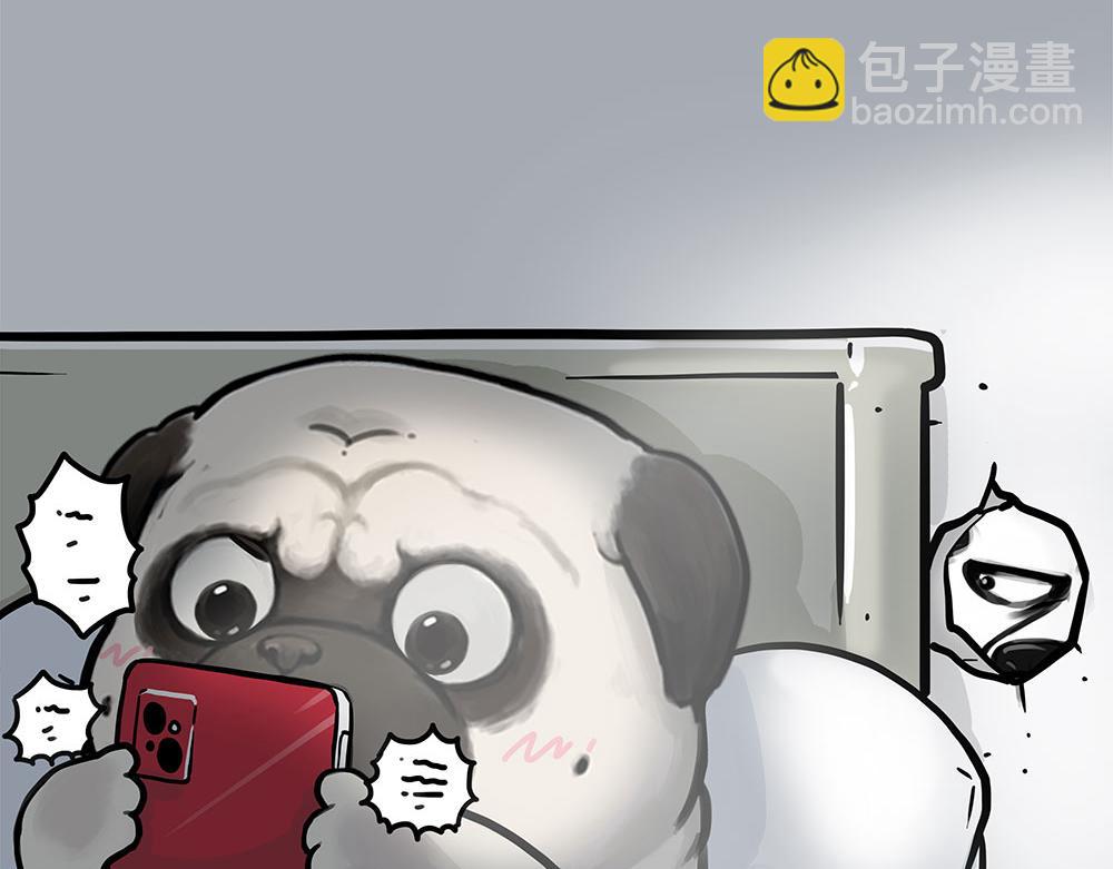 🍘吾皇巴扎黑 第447话 消息盲盒 第15页