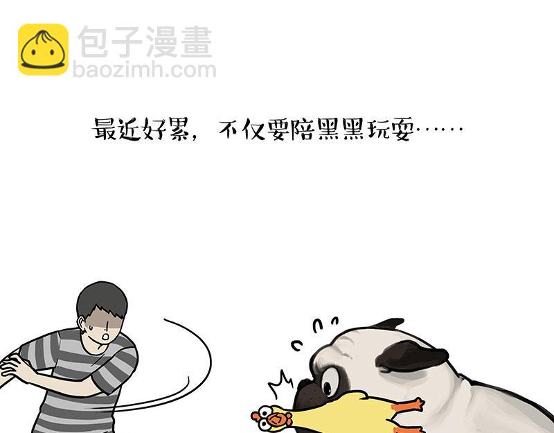 🍘吾皇巴扎黑 第447话 消息盲盒 第17页