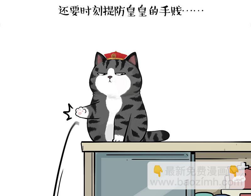 🍘吾皇巴扎黑 第447话 消息盲盒 第19页