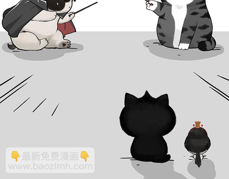 🍘吾皇巴扎黑 第447话 消息盲盒 第27页