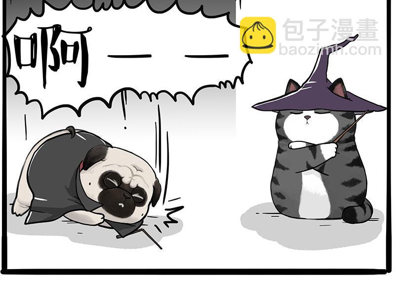 🍘吾皇巴扎黑 第447话 消息盲盒 第34页