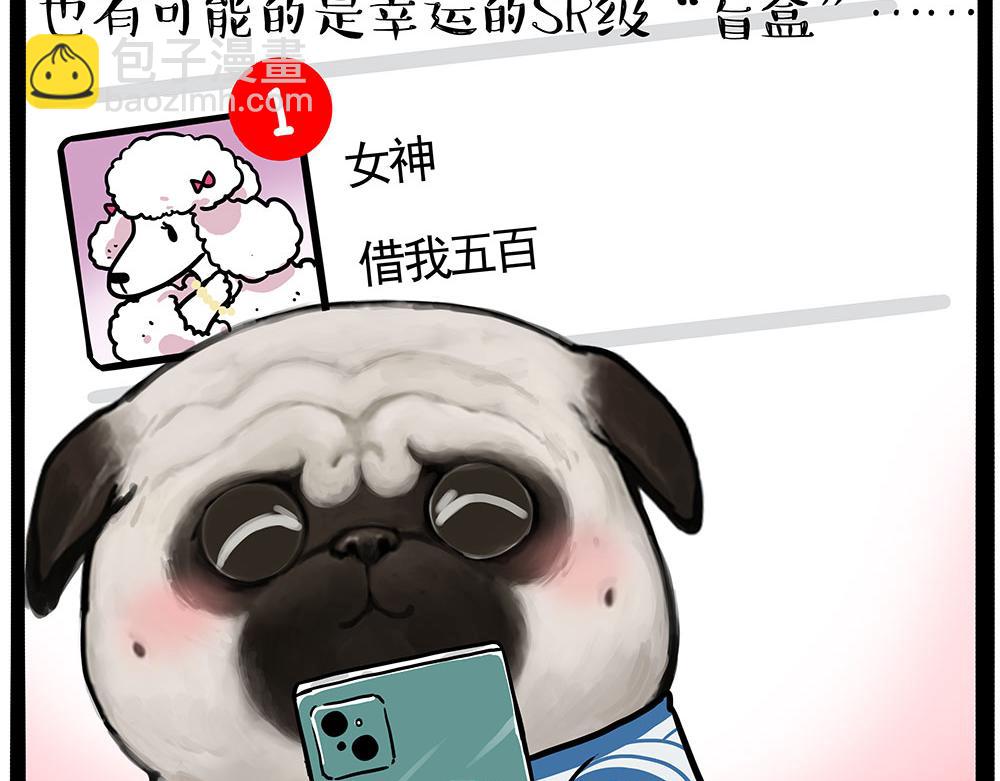 🍘吾皇巴扎黑 第447话 消息盲盒 第5页