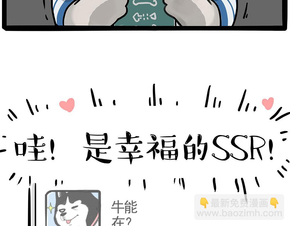 🍘吾皇巴扎黑 第447话 消息盲盒 第8页