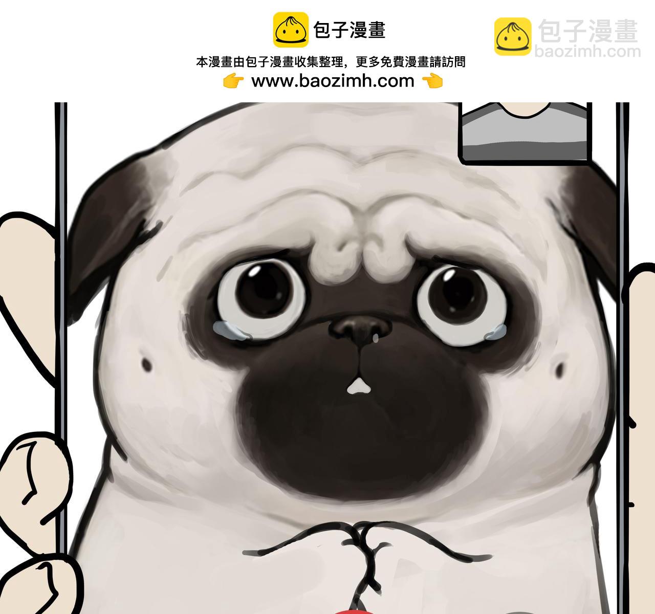 🍘吾皇巴扎黑 第451话 越养越像 第2页