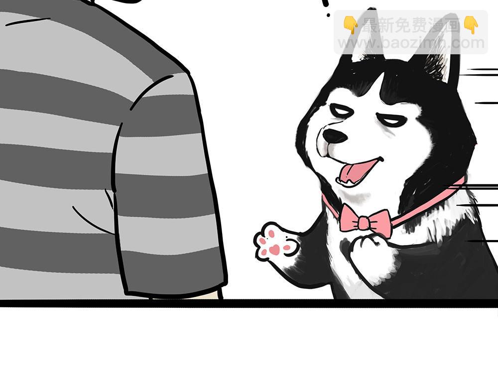 🍘吾皇巴扎黑 第451话 越养越像 第36页