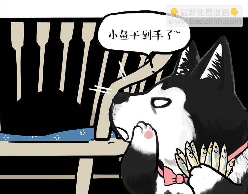 🍘吾皇巴扎黑 第451话 越养越像 第41页