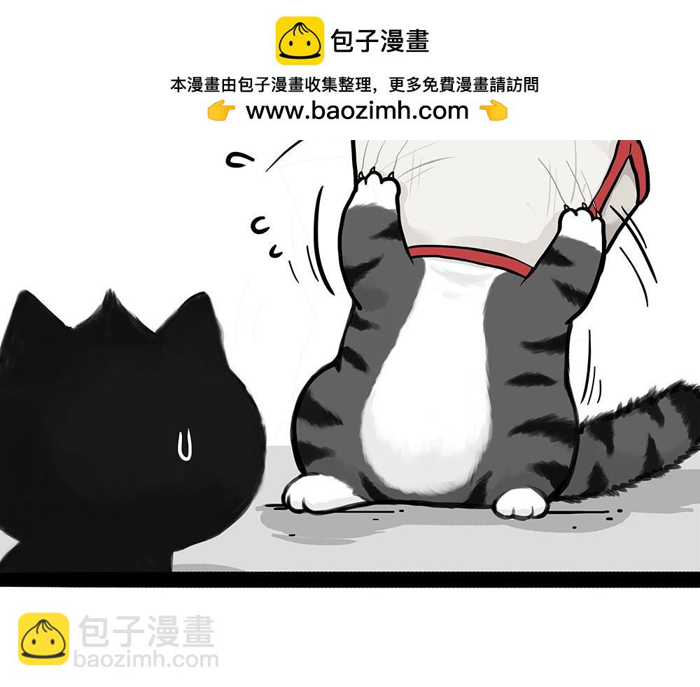 🍘吾皇巴扎黑 第451话 越养越像 第48页