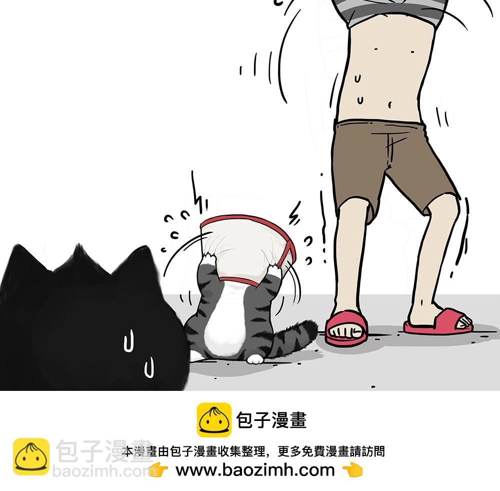 🍘吾皇巴扎黑 第451话 越养越像 第50页