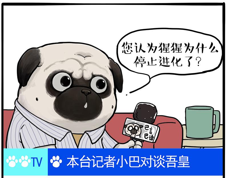 🍘吾皇巴扎黑 第459话 了不起 第45页