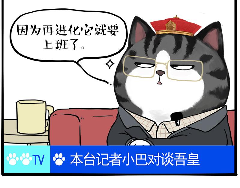 🍘吾皇巴扎黑 第459话 了不起 第46页