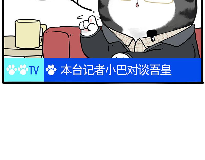 🍘吾皇巴扎黑 第459话 了不起 第49页