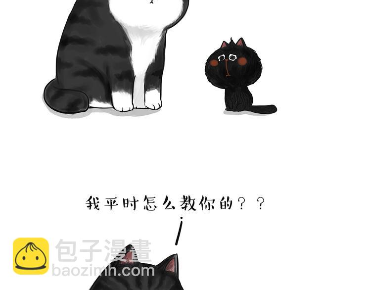 🍘吾皇巴扎黑 第49话 只见新人笑未闻旧人哭 第10页