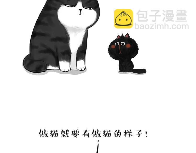 🍘吾皇巴扎黑 第49话 只见新人笑未闻旧人哭 第11页