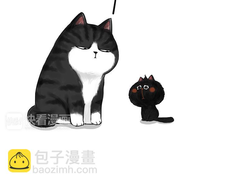 🍘吾皇巴扎黑 第49话 只见新人笑未闻旧人哭 第12页