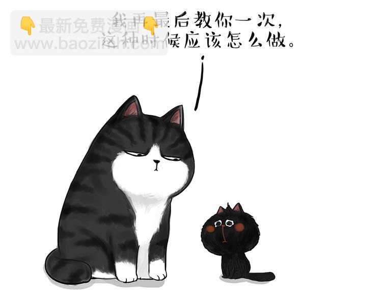 🍘吾皇巴扎黑 第49话 只见新人笑未闻旧人哭 第13页