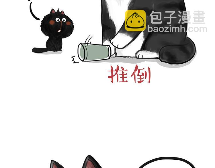 🍘吾皇巴扎黑 第49话 只见新人笑未闻旧人哭 第17页