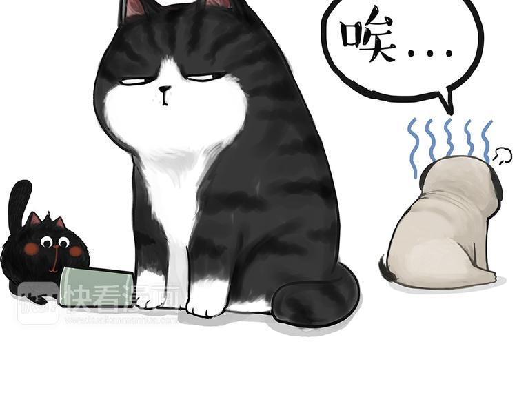 🍘吾皇巴扎黑 第49话 只见新人笑未闻旧人哭 第18页