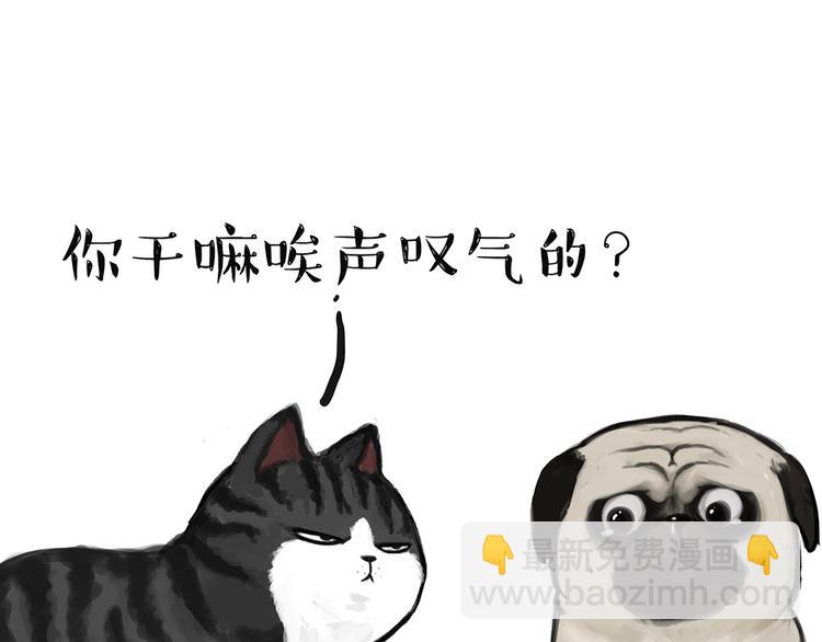 🍘吾皇巴扎黑 第49话 只见新人笑未闻旧人哭 第19页