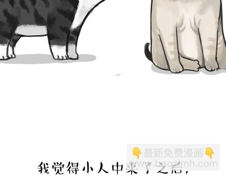 🍘吾皇巴扎黑 第49话 只见新人笑未闻旧人哭 第20页