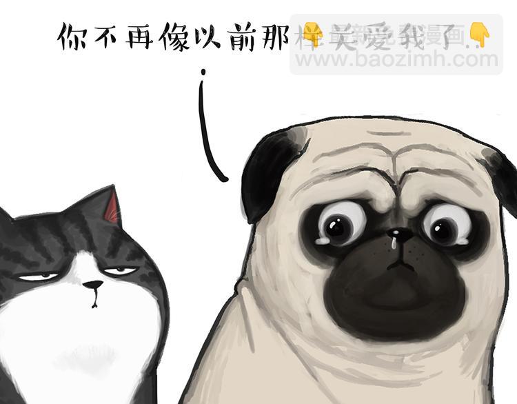 🍘吾皇巴扎黑 第49话 只见新人笑未闻旧人哭 第21页