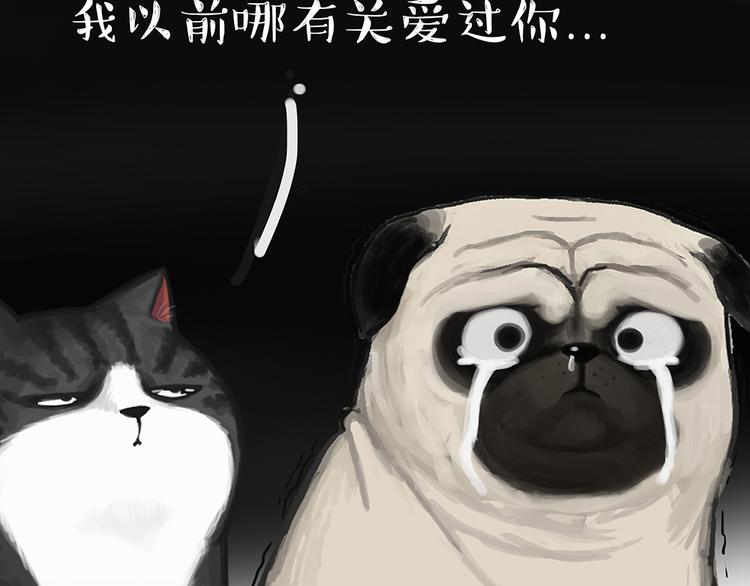 🍘吾皇巴扎黑 第49话 只见新人笑未闻旧人哭 第24页