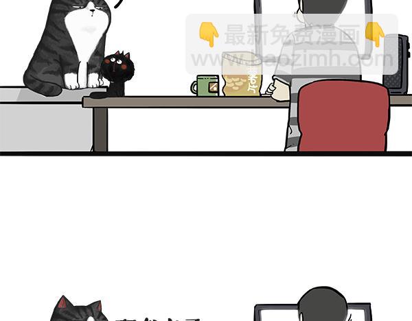 🍘吾皇巴扎黑 第49话 只见新人笑未闻旧人哭 第4页