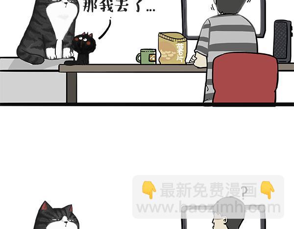 🍘吾皇巴扎黑 第49话 只见新人笑未闻旧人哭 第5页