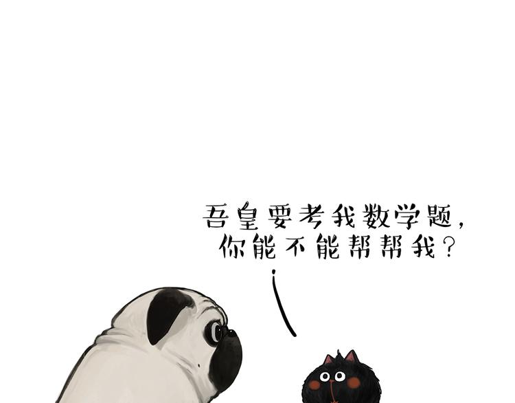 🍘吾皇巴扎黑 第51话 猫和狗的待遇就是不同 第1页