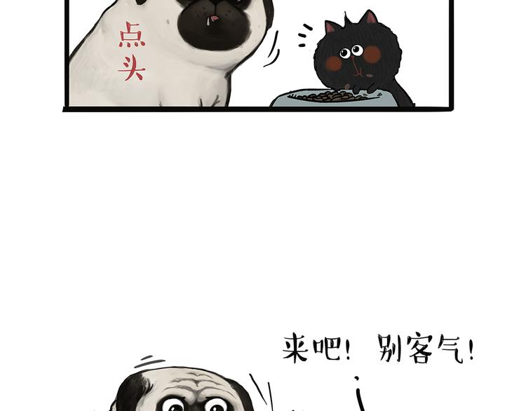 🍘吾皇巴扎黑 第51话 猫和狗的待遇就是不同 第10页