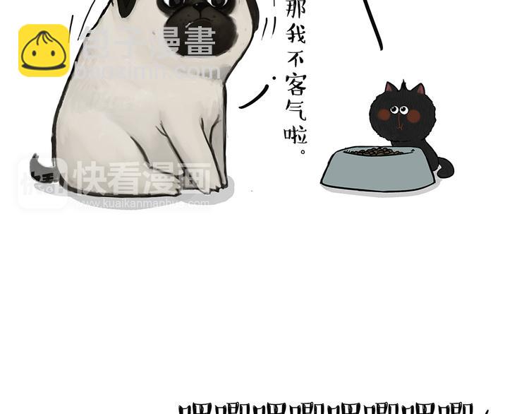 🍘吾皇巴扎黑 第51话 猫和狗的待遇就是不同 第11页