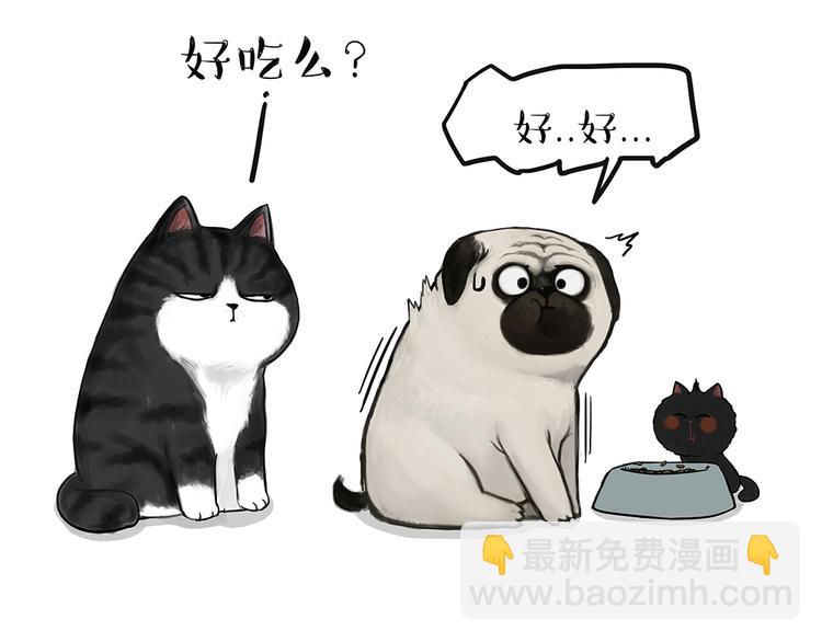 🍘吾皇巴扎黑 第51话 猫和狗的待遇就是不同 第13页