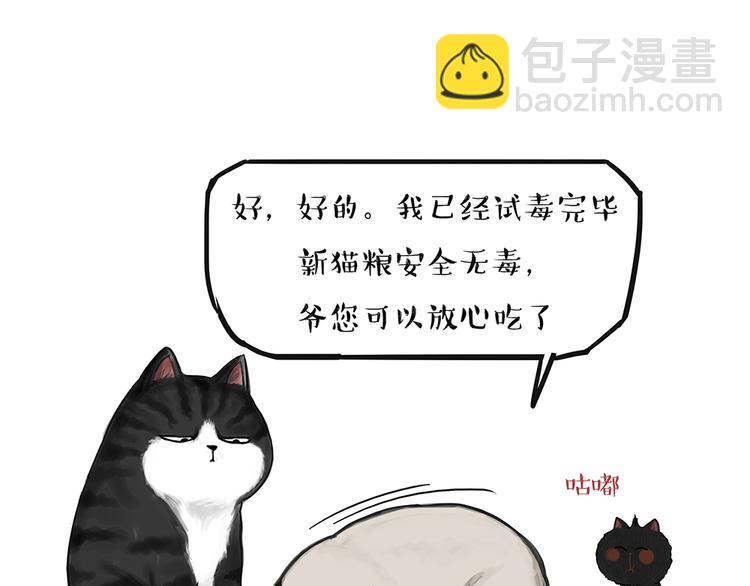 🍘吾皇巴扎黑 第51话 猫和狗的待遇就是不同 第14页