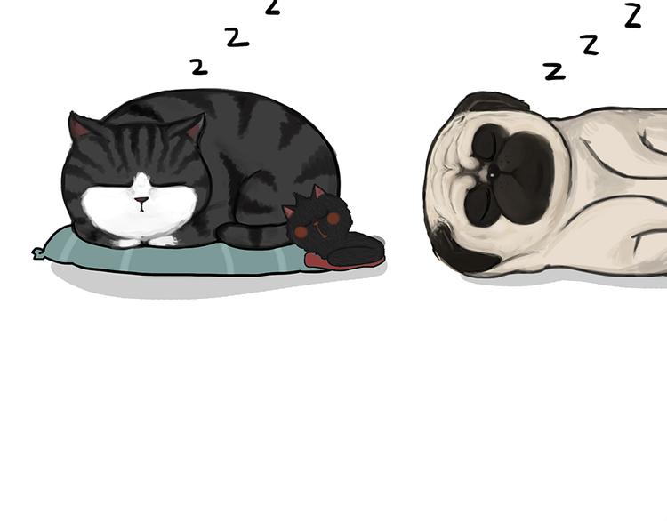 🍘吾皇巴扎黑 第51话 猫和狗的待遇就是不同 第17页