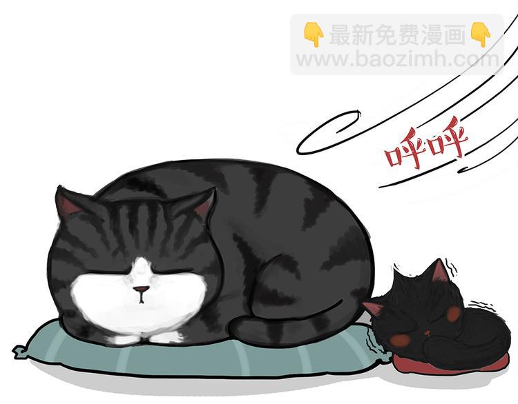 🍘吾皇巴扎黑 第51话 猫和狗的待遇就是不同 第18页