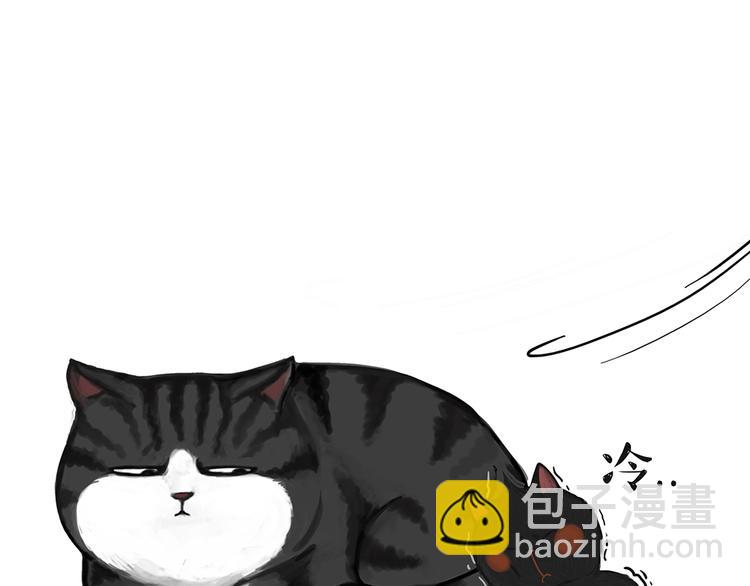 🍘吾皇巴扎黑 第51话 猫和狗的待遇就是不同 第19页