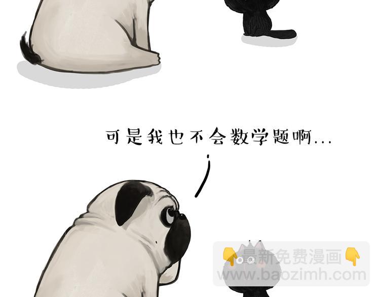 🍘吾皇巴扎黑 第51话 猫和狗的待遇就是不同 第2页