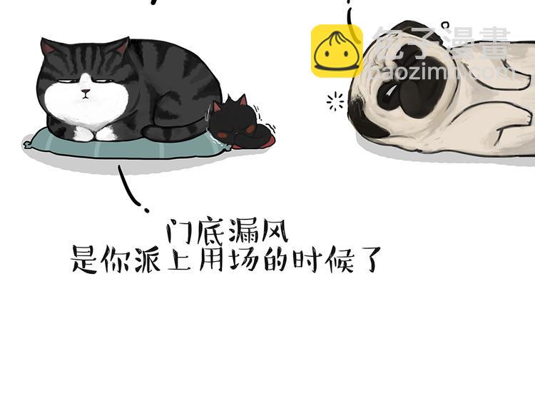 🍘吾皇巴扎黑 第51话 猫和狗的待遇就是不同 第23页