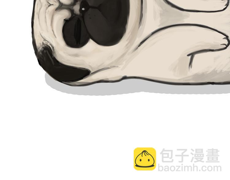 🍘吾皇巴扎黑 第51话 猫和狗的待遇就是不同 第25页