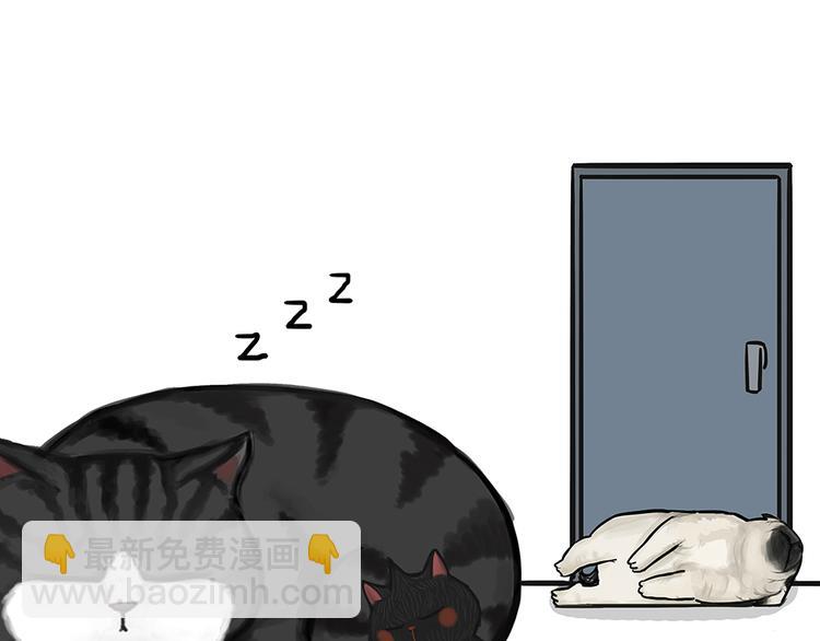 🍘吾皇巴扎黑 第51话 猫和狗的待遇就是不同 第26页