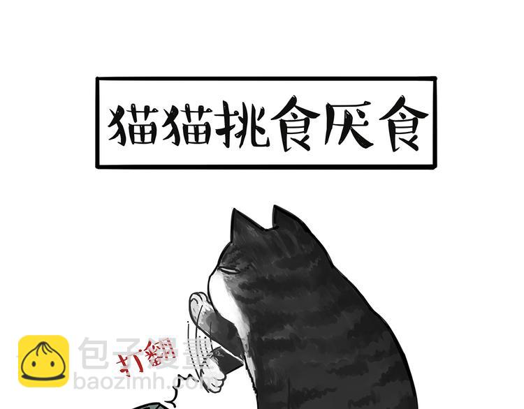 🍘吾皇巴扎黑 第51话 猫和狗的待遇就是不同 第28页