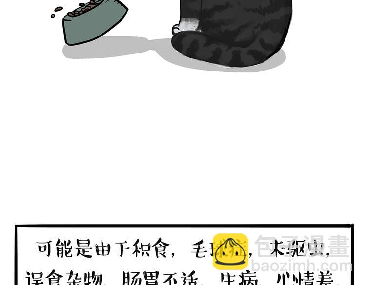 🍘吾皇巴扎黑 第51话 猫和狗的待遇就是不同 第29页