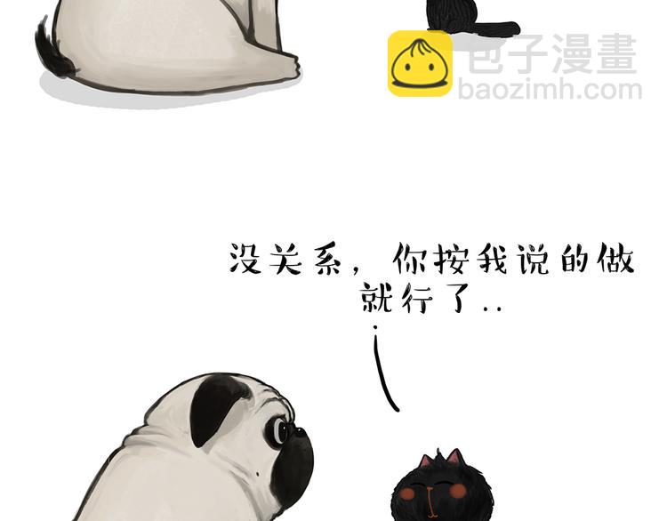 🍘吾皇巴扎黑 第51话 猫和狗的待遇就是不同 第3页