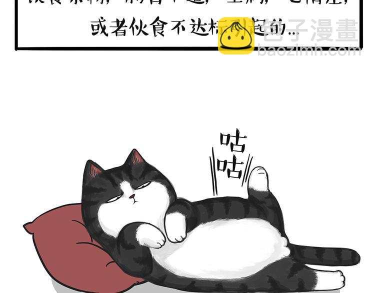 🍘吾皇巴扎黑 第51话 猫和狗的待遇就是不同 第30页