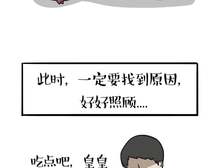 🍘吾皇巴扎黑 第51话 猫和狗的待遇就是不同 第31页