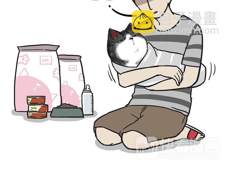 🍘吾皇巴扎黑 第51话 猫和狗的待遇就是不同 第32页