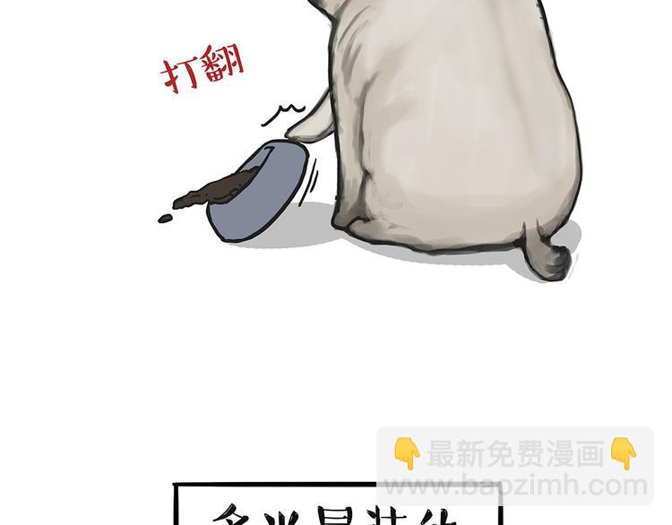 🍘吾皇巴扎黑 第51话 猫和狗的待遇就是不同 第34页